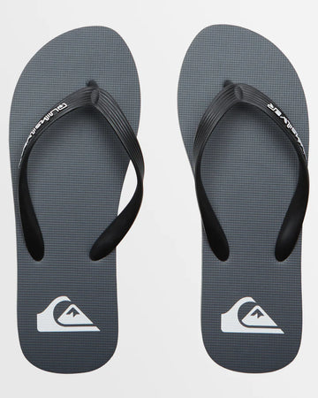 Quiksilver Molokai Core - Grey 1