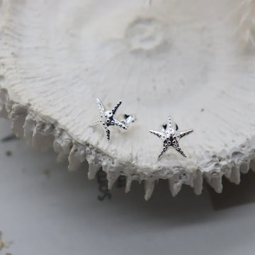 Miki Starfish Silver Stud